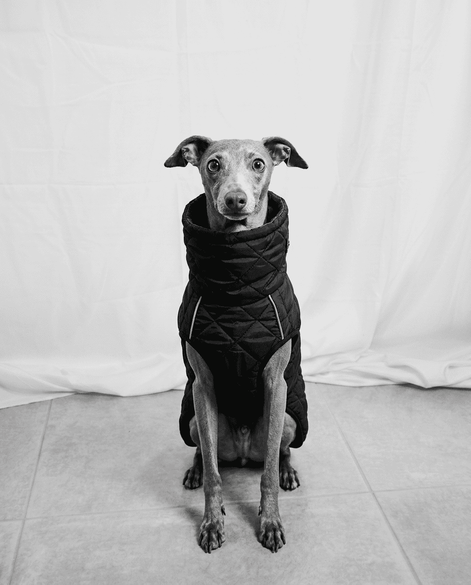 THE COMMUTER COAT