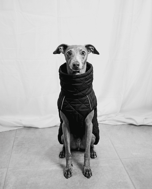THE COMMUTER COAT