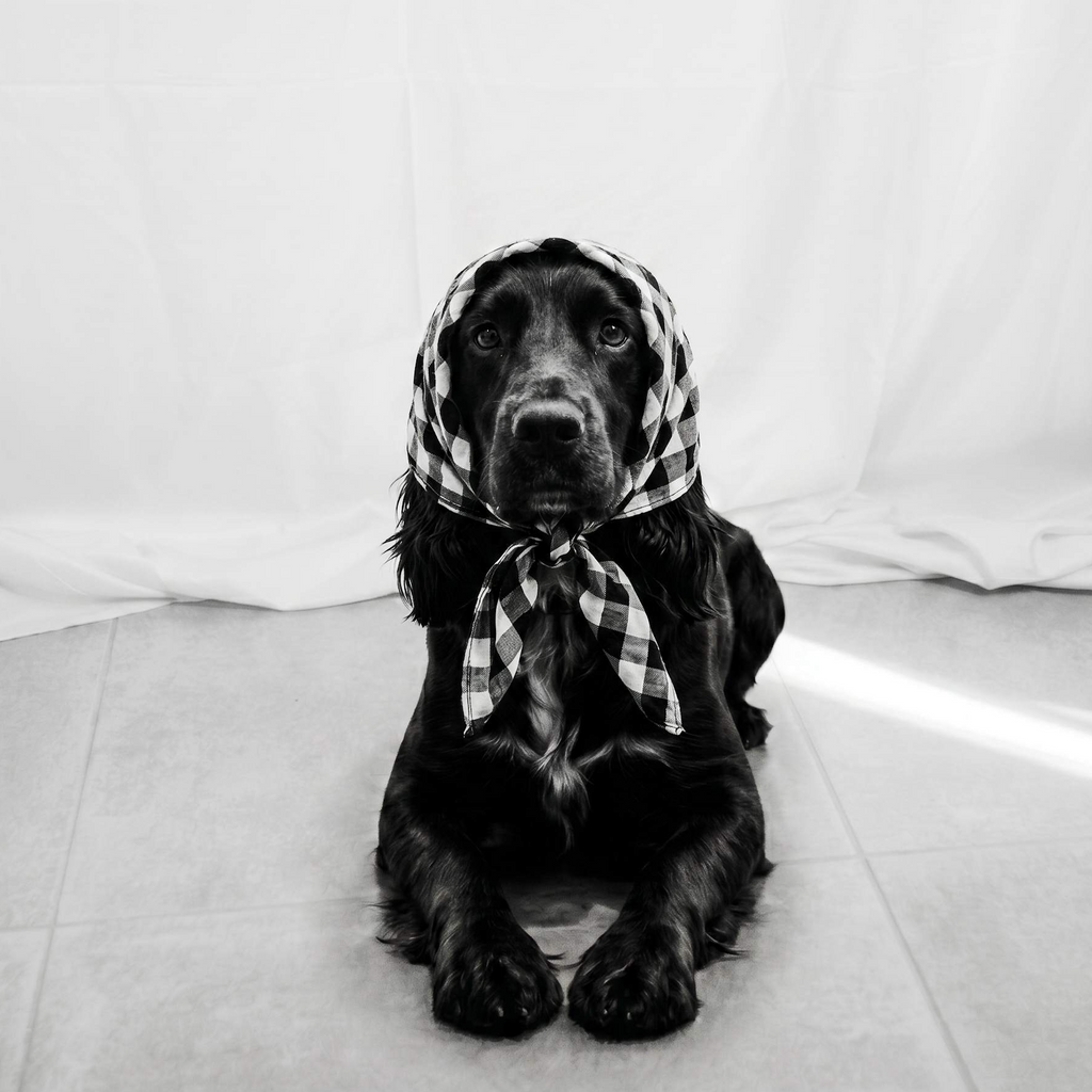 THE OFFICE BANDANA