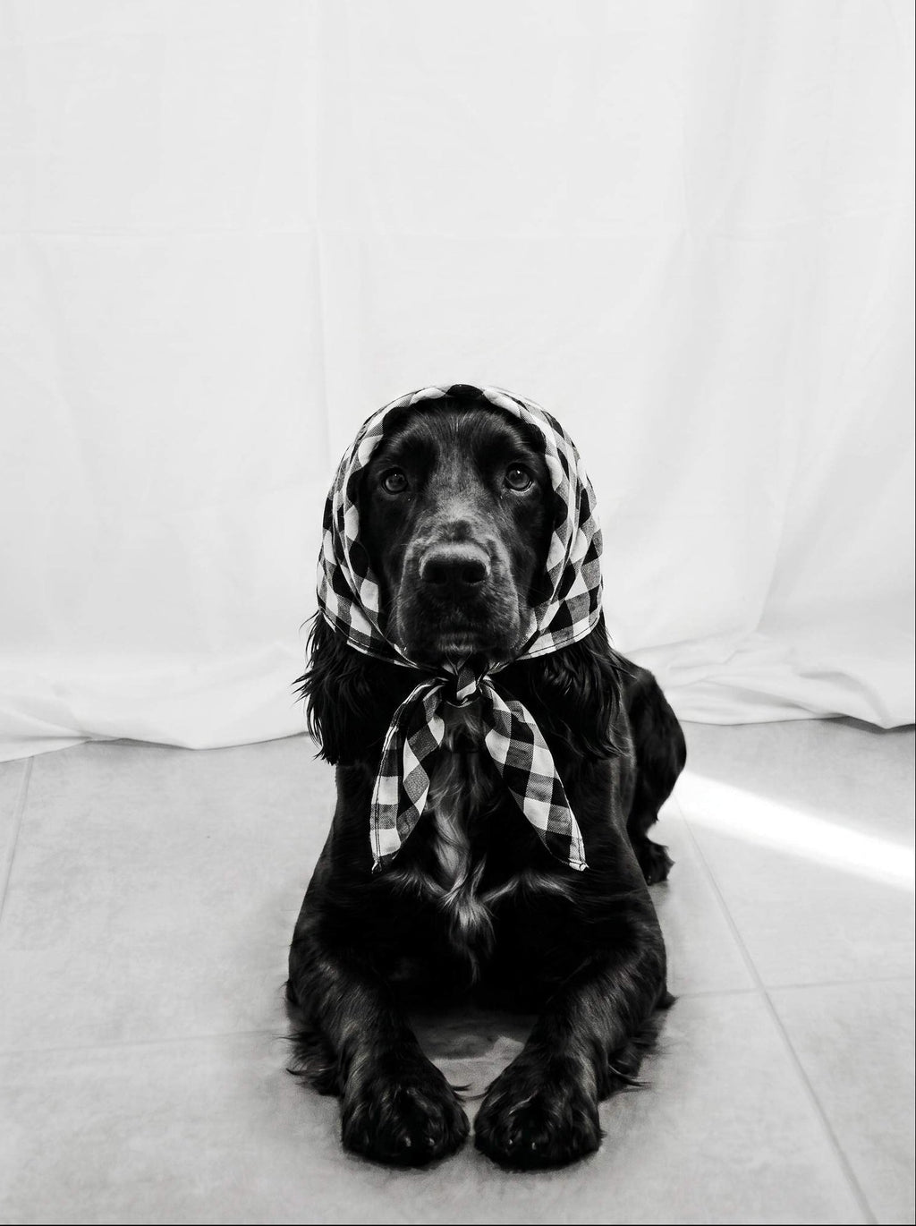 THE OFFICE BANDANA
